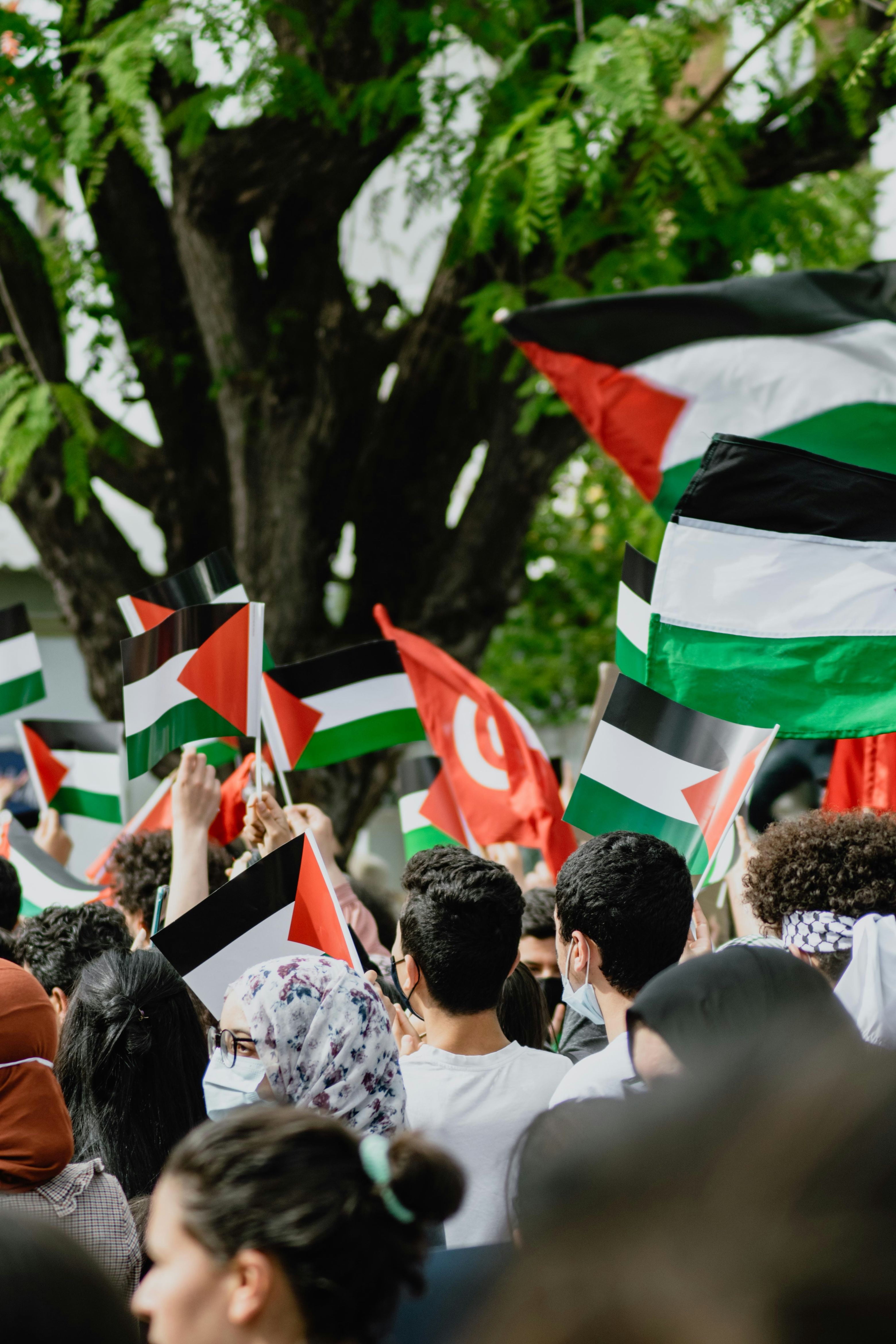 Unlikely Alliances, Gaza, and The Supreme Court